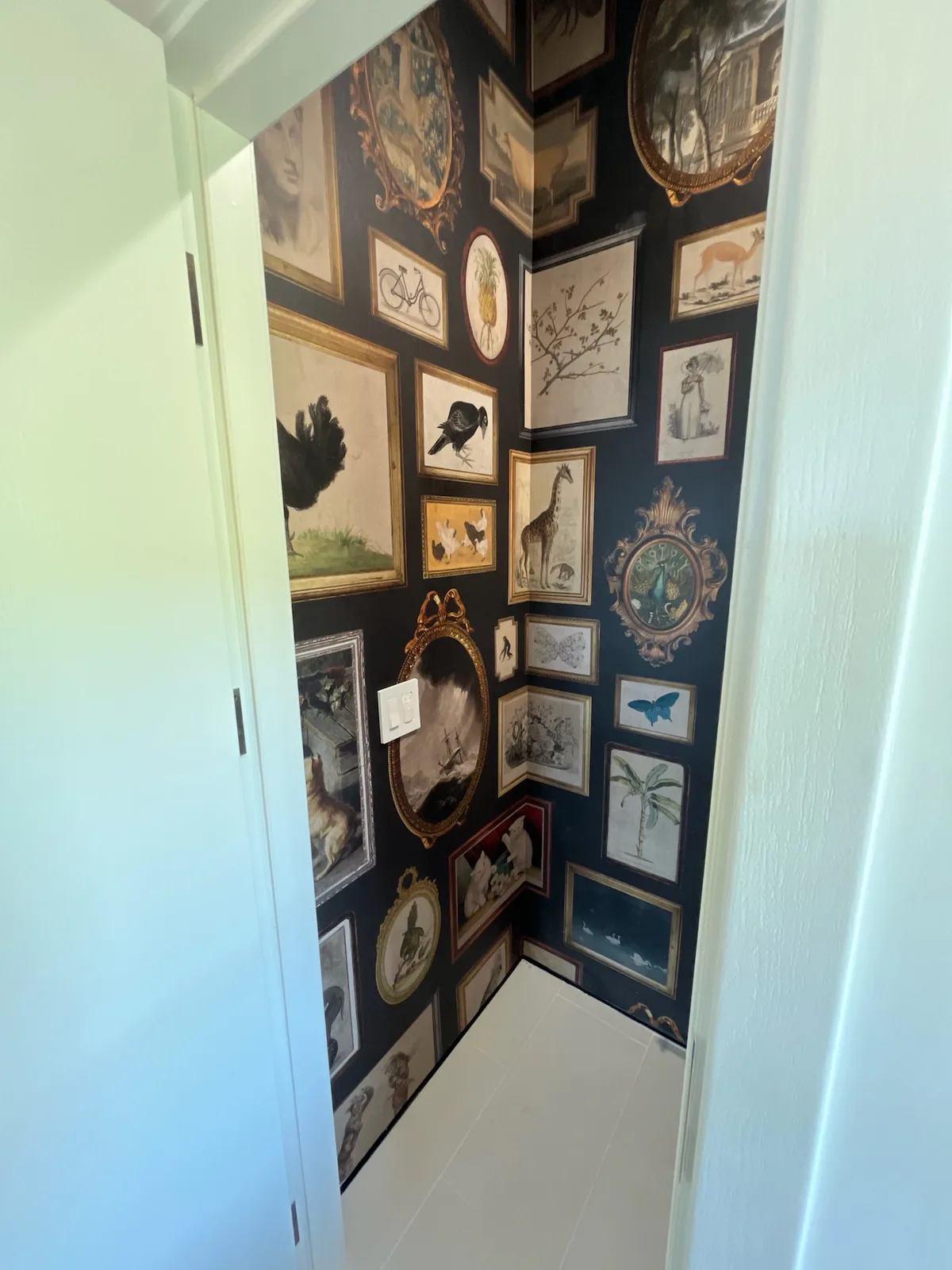 Albany Park estate wallpaper