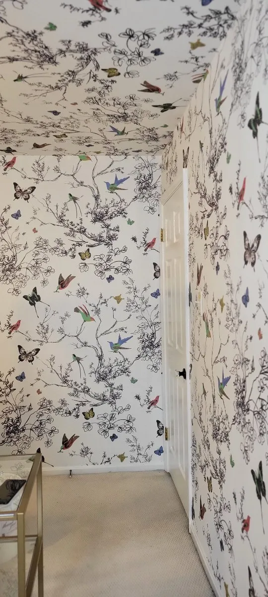 Mold-Resistant Primers for Lasting Protection in Albany Park