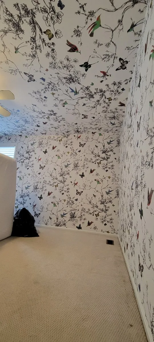 Expert Plaster Wall Preparation in Gresham