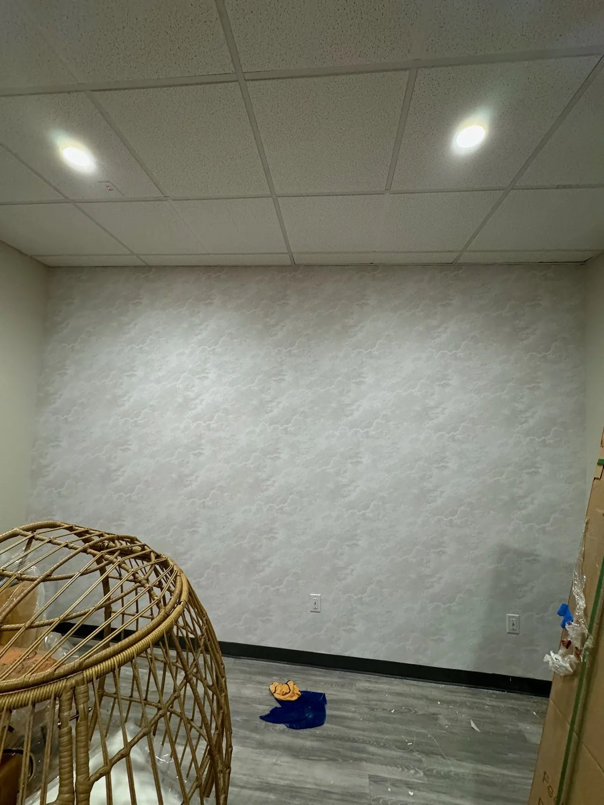 Professional wallpaper removal service Chicago in Edison Park, Chicago